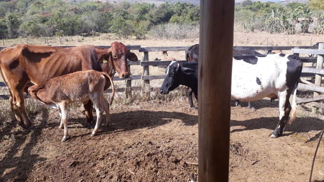 Pousada Estancia Macaubas - São Roque de Minas المظهر الخارجي الصورة